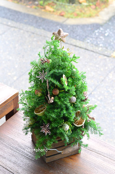 生花のクリスマスツリーの作品